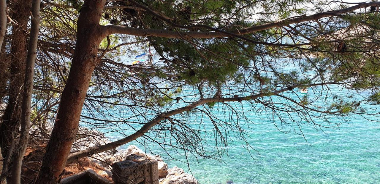 Adriatic Apartment Orebić Екстериор снимка